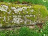 image of grave number 710393